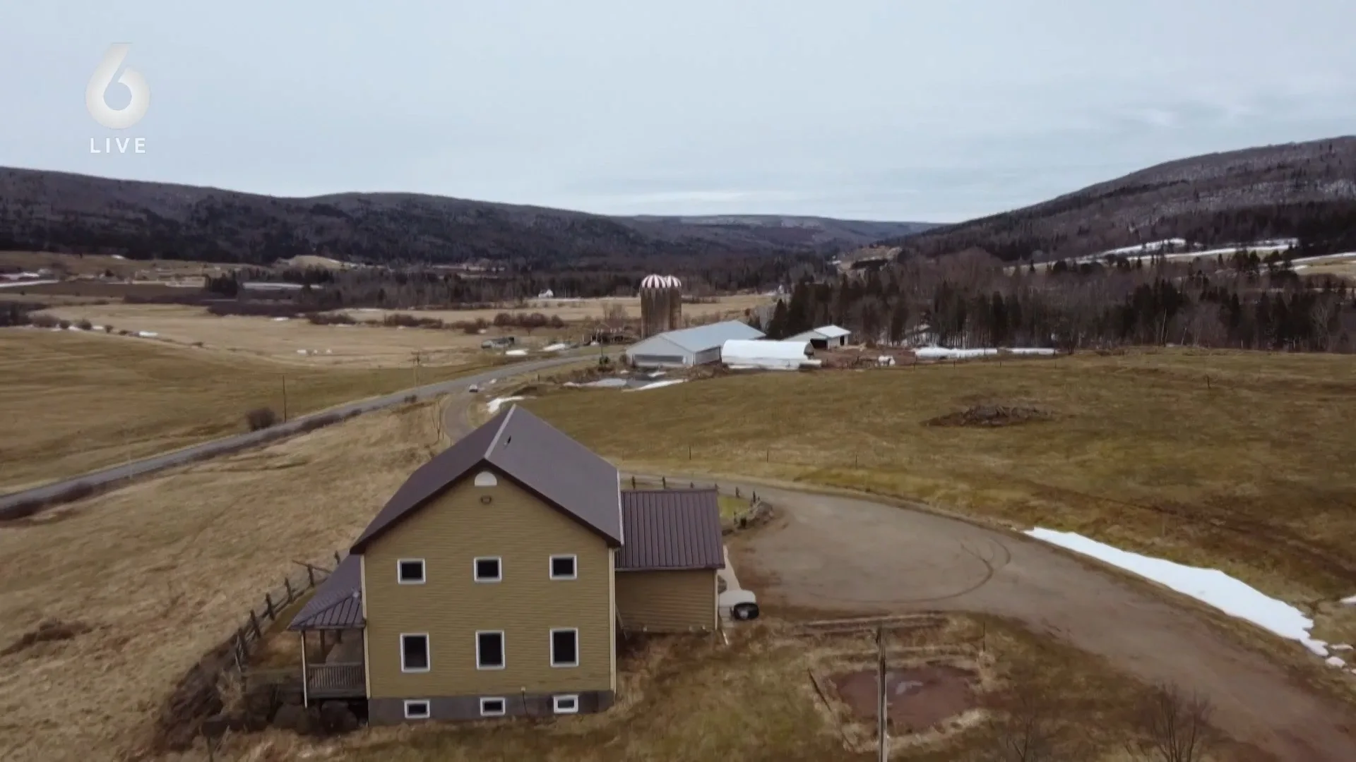 Steeds meer boeren verruilen Nederland voor het buitenland: 'Klaar met Haagse poppenkast'