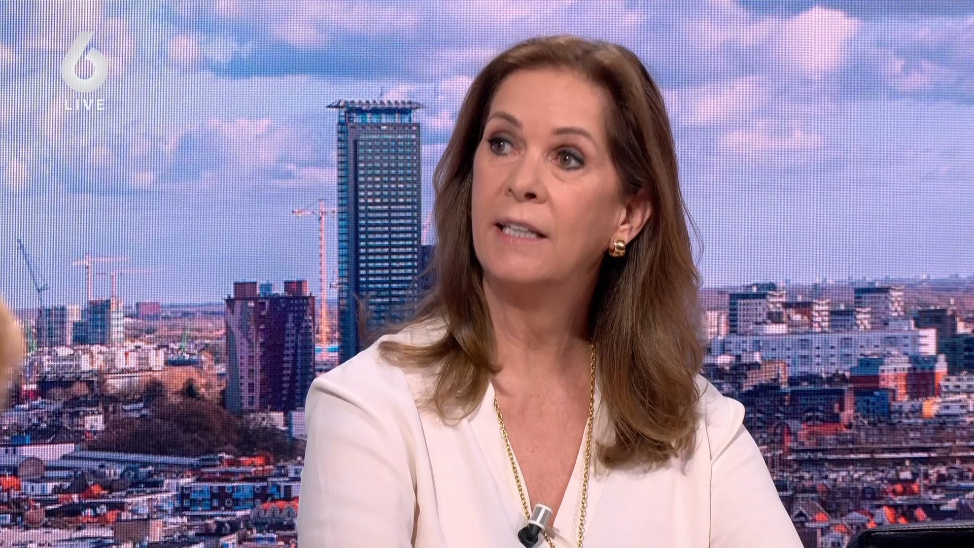 'Diversiteitscursussen zijn de grootste waste of money'