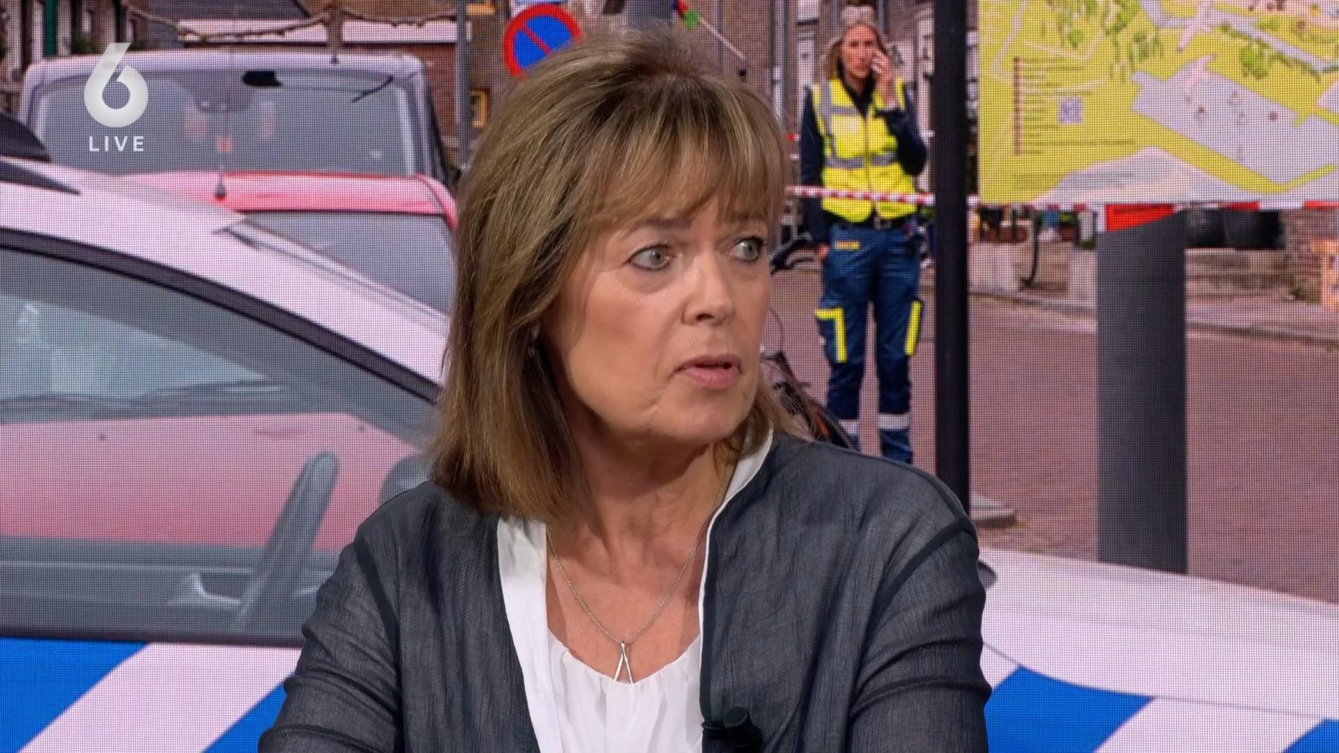 Horrormoord in Hellevoetsluis: eerste zitting in gruwelijke onthoofdingszaak