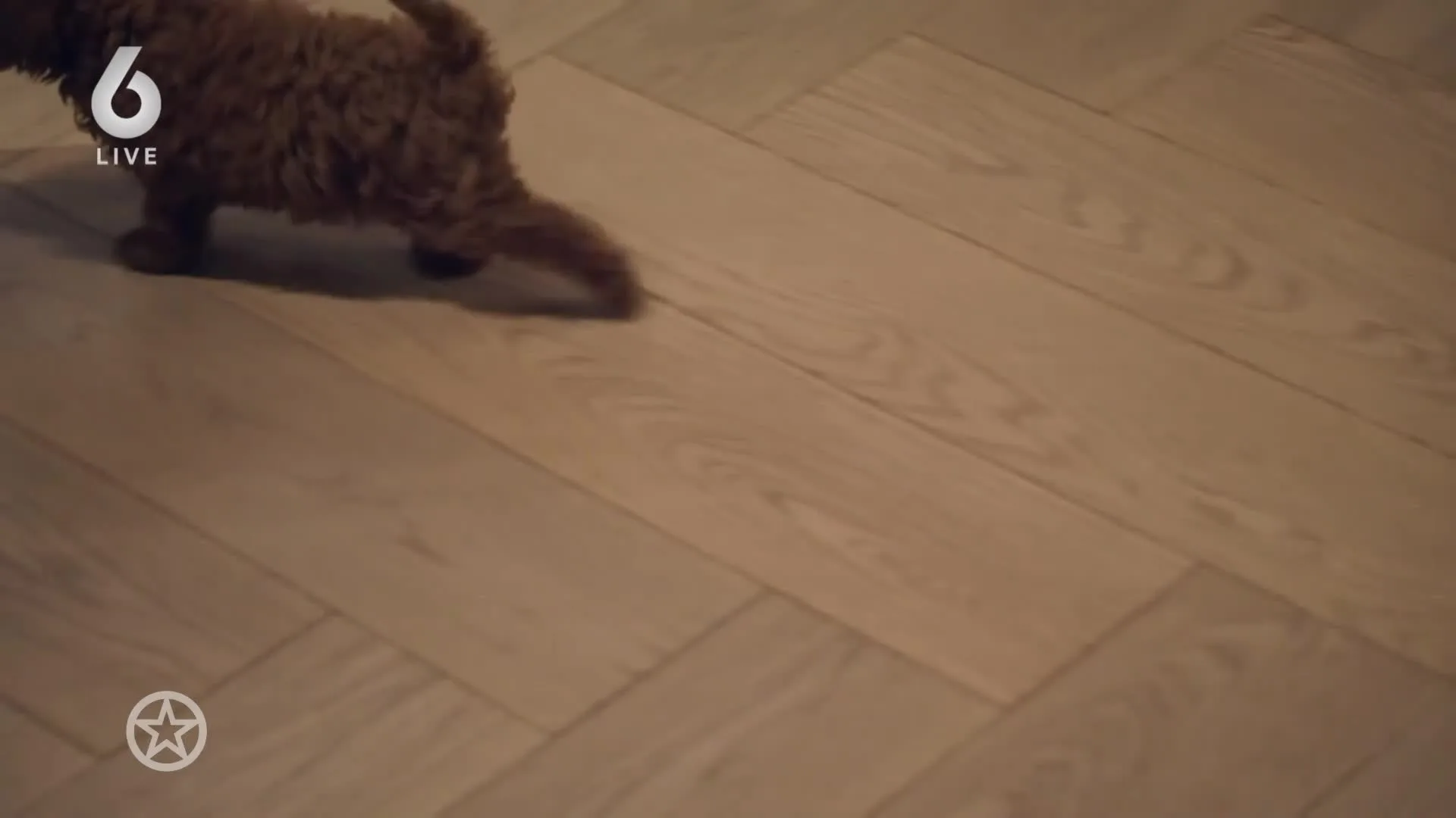 Voorproefje van de derde aflevering van De Bauers