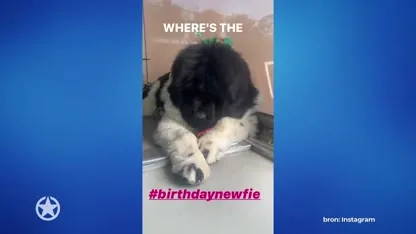 Feestelijke dag voor Karen Damen