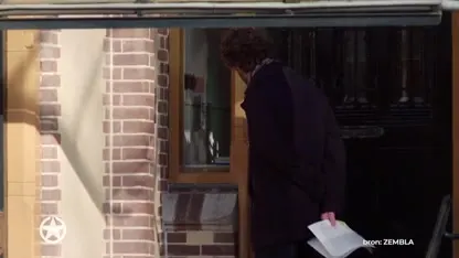 Flinke ophef om koning Willem-Alexander