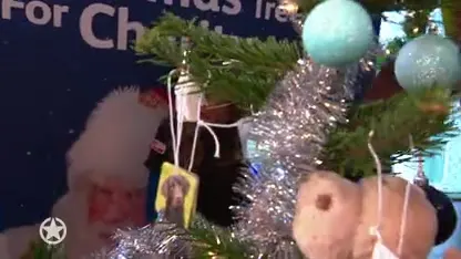 BN'ers strijden om mooiste kerstboom!