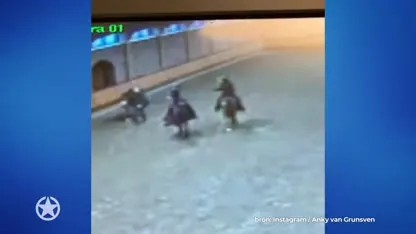 Kinderen Anky van Grunsven ontsnappen nipt aan paardenruzie