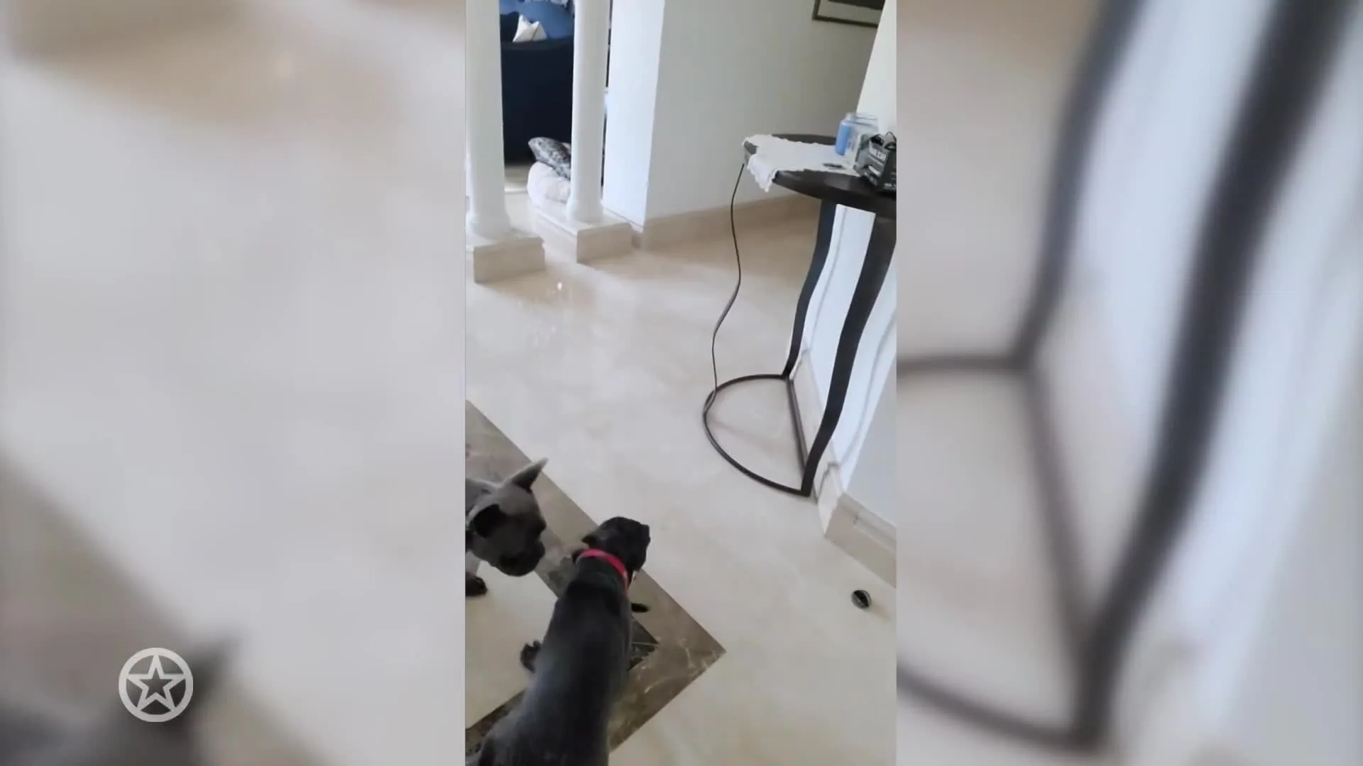 Gezinsuitbreiding voor Gordon!