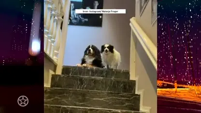 SMELT: Natasja Froger krijgt warm welkom van honden