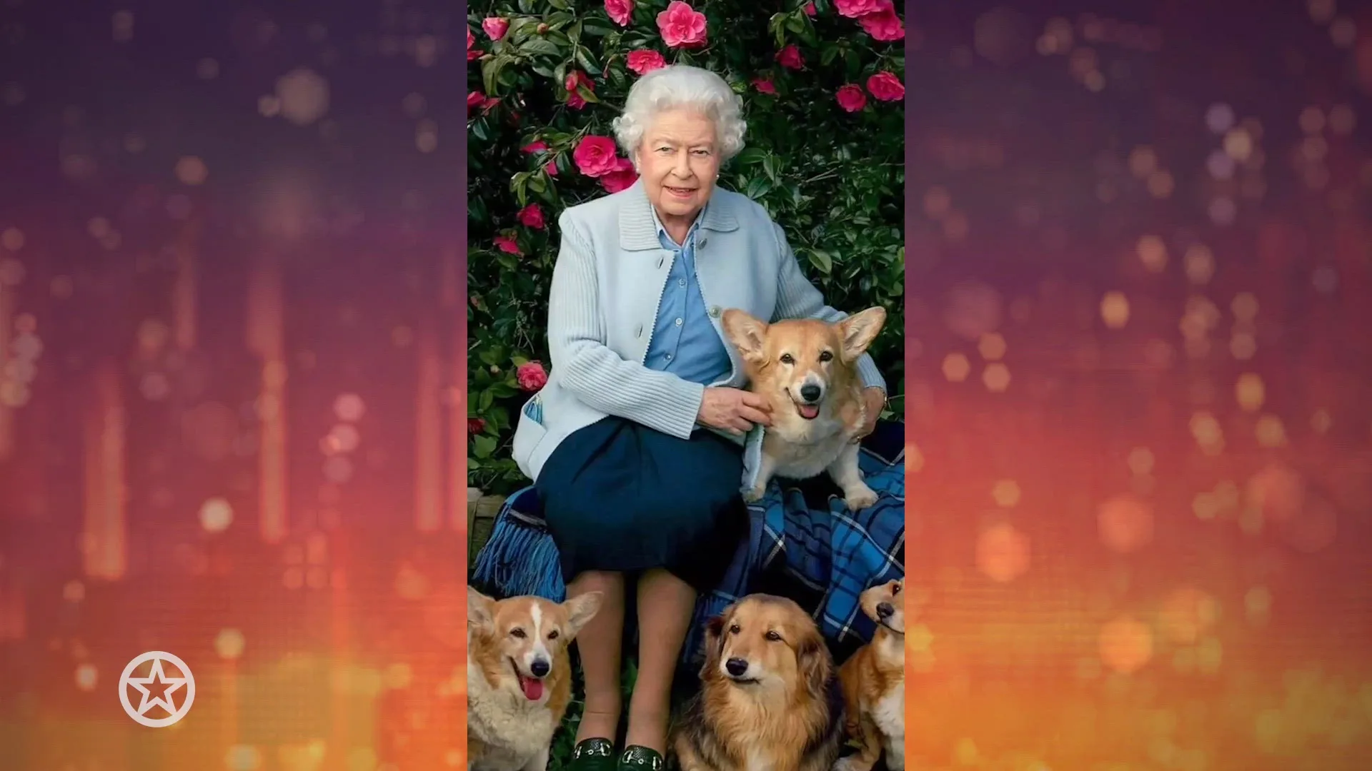 Koningin Elizabeth hield ontzettend veel van honden