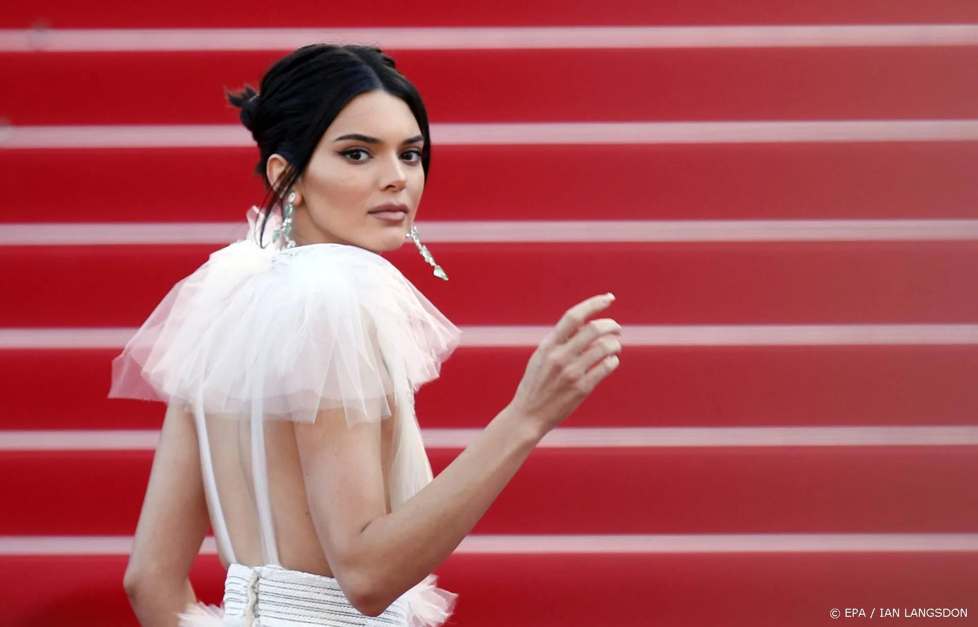 Celstraf voor naakte inbreker Kendall Jenner