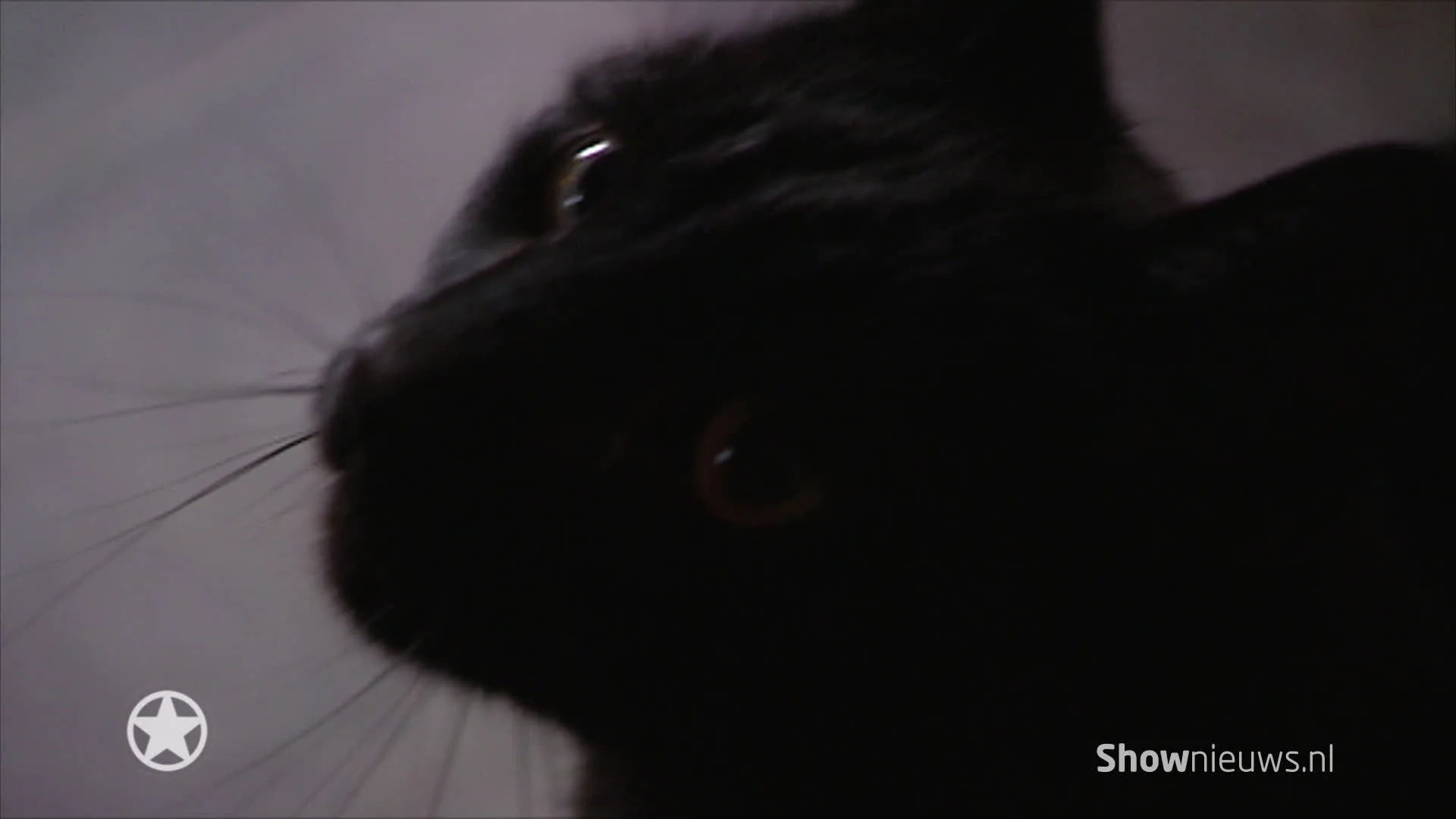 BN'ers over hun Vrijdag de 13e-ervaringen