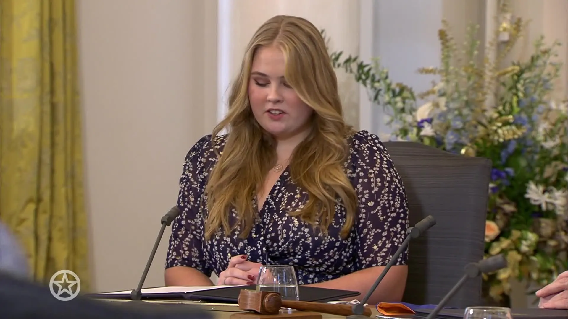 Toespraak Amalia Raad van State