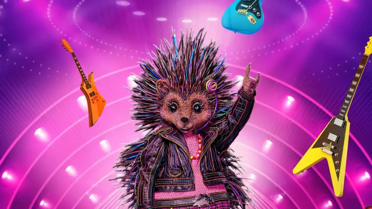 'Dit is De Egel in The Masked Singer'