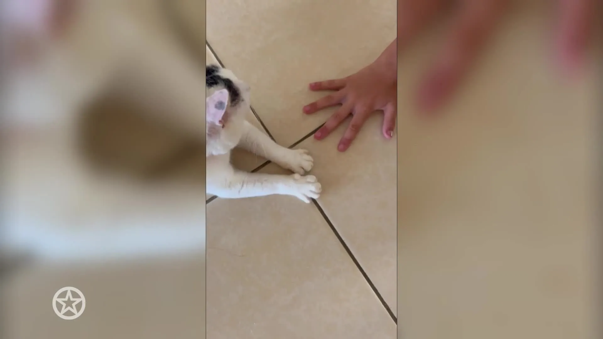 Nicolette Kluijver doet noodoproep