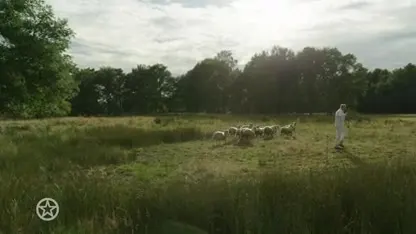 Het hek is van de dam bij Rachel Hazes