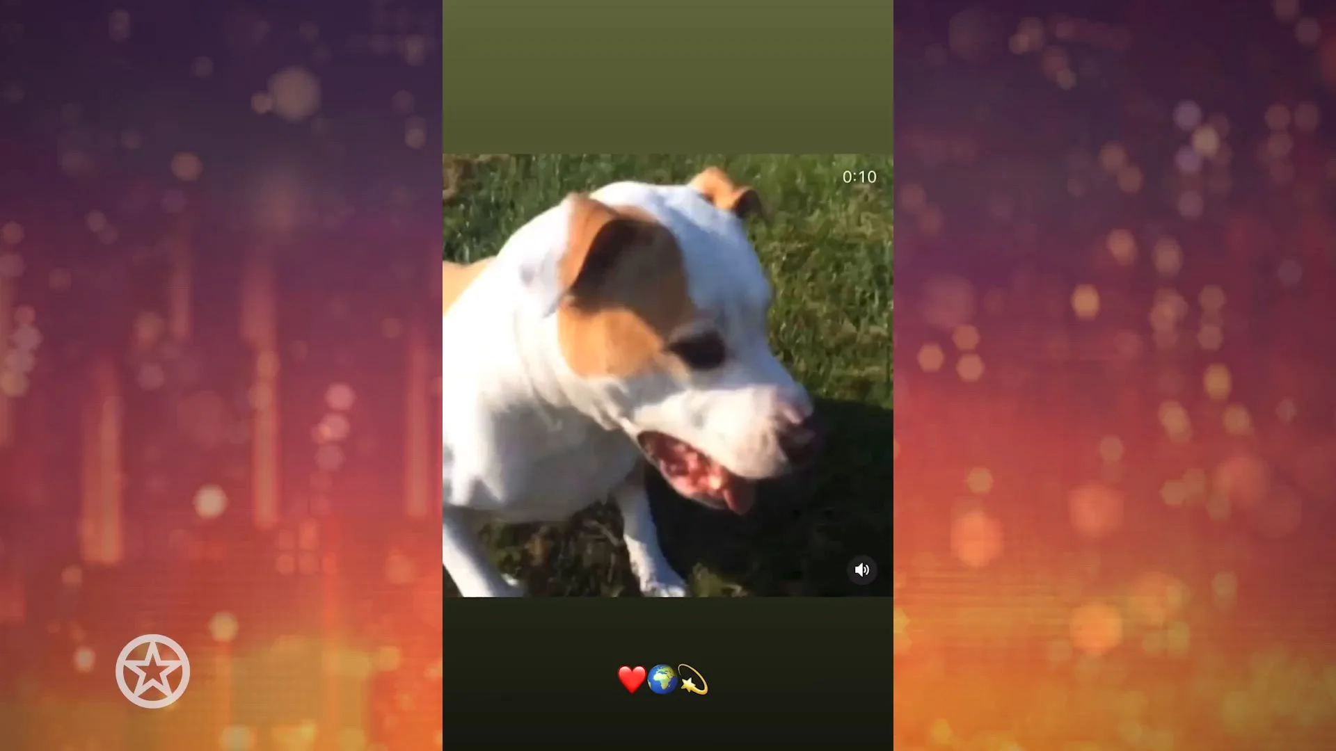 Trieste dag voor Monique Westenberg