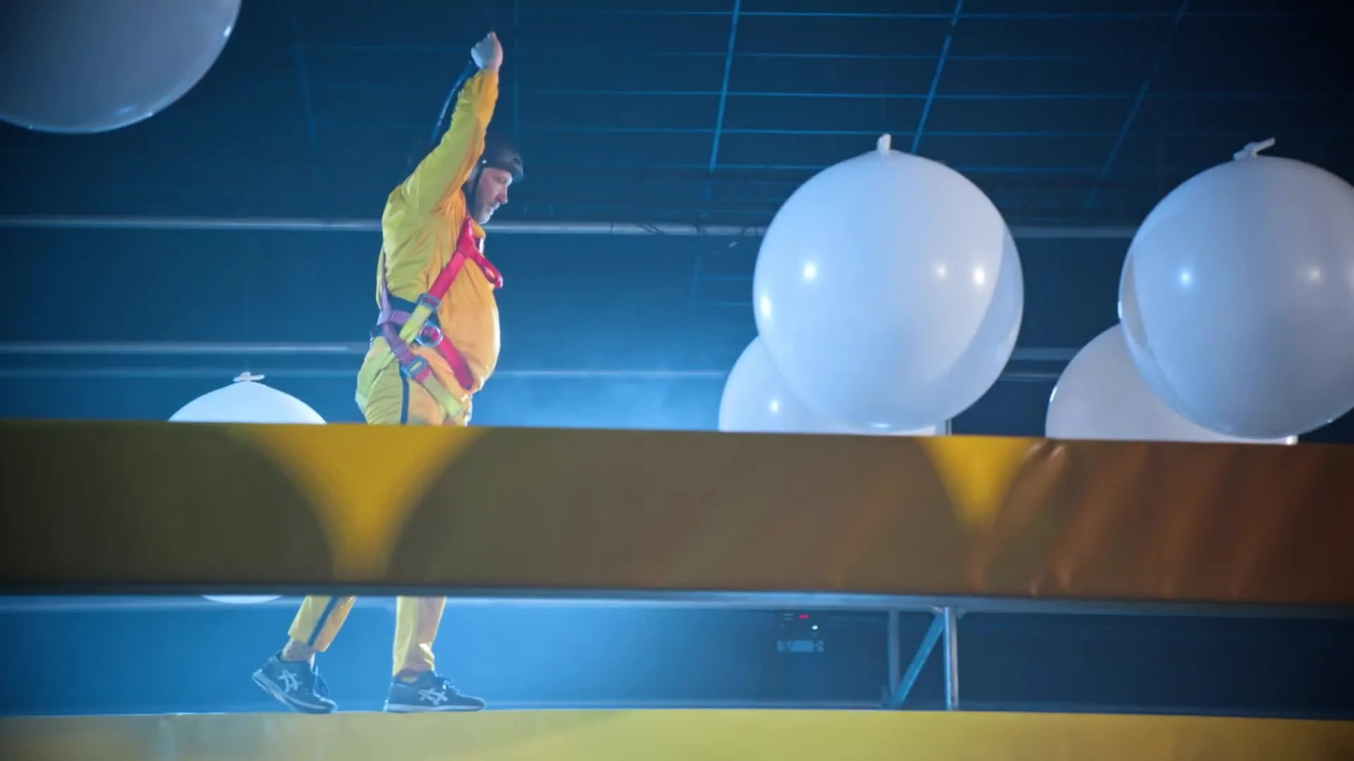 Ruben en Horace op de loopbalk