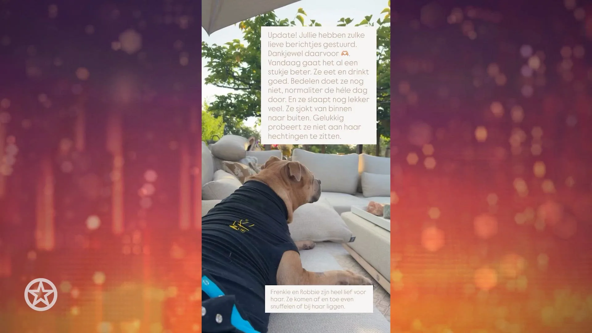 Monique Westenberg deelt hoopvolle update over hond Gioia