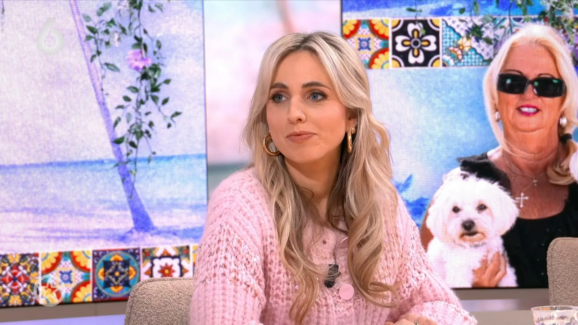 Wat we kunnen verwachten van het tweede seizoen van De Hanslers