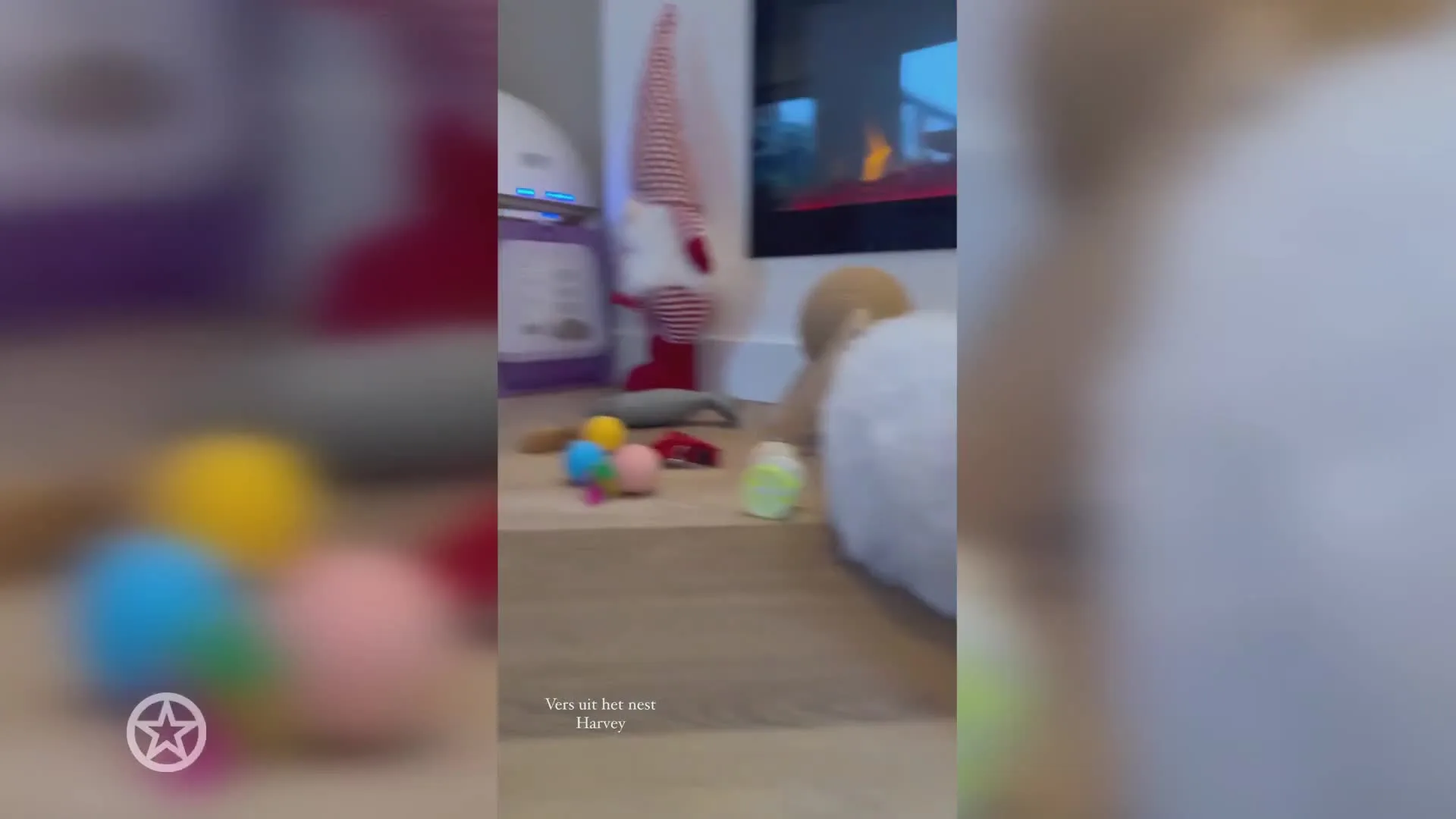 Donny Roelvink verwelkomt kitten