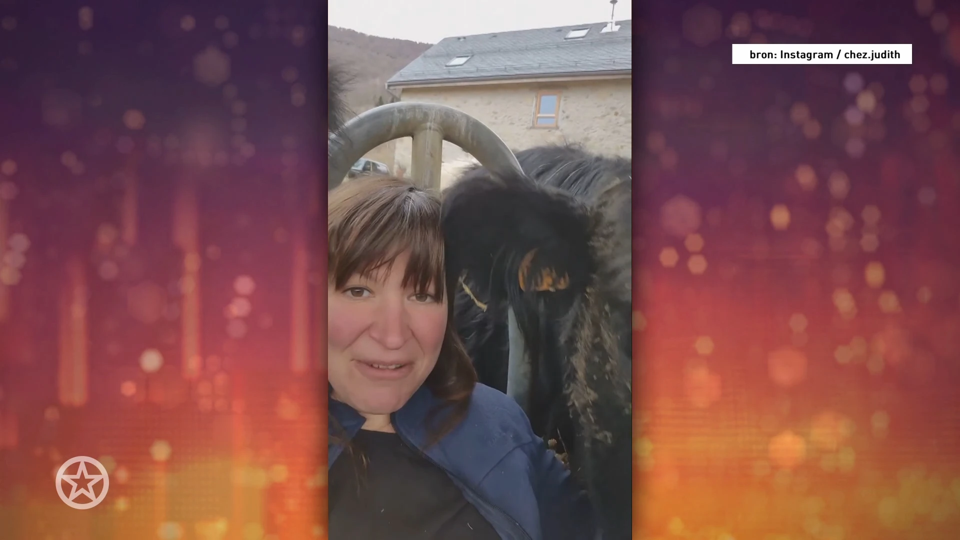 Winter Vol Liefde-Judith knuffelt met haar koeien