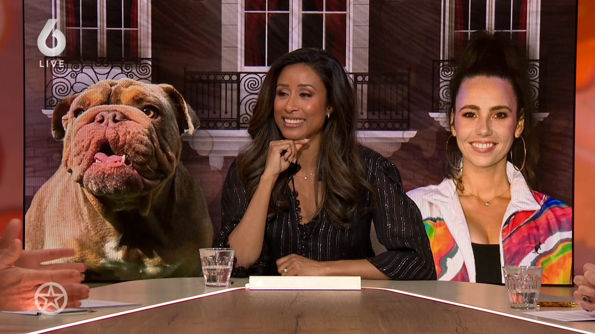 De hond van Gwen van Poorten gaat hartstikke viraal