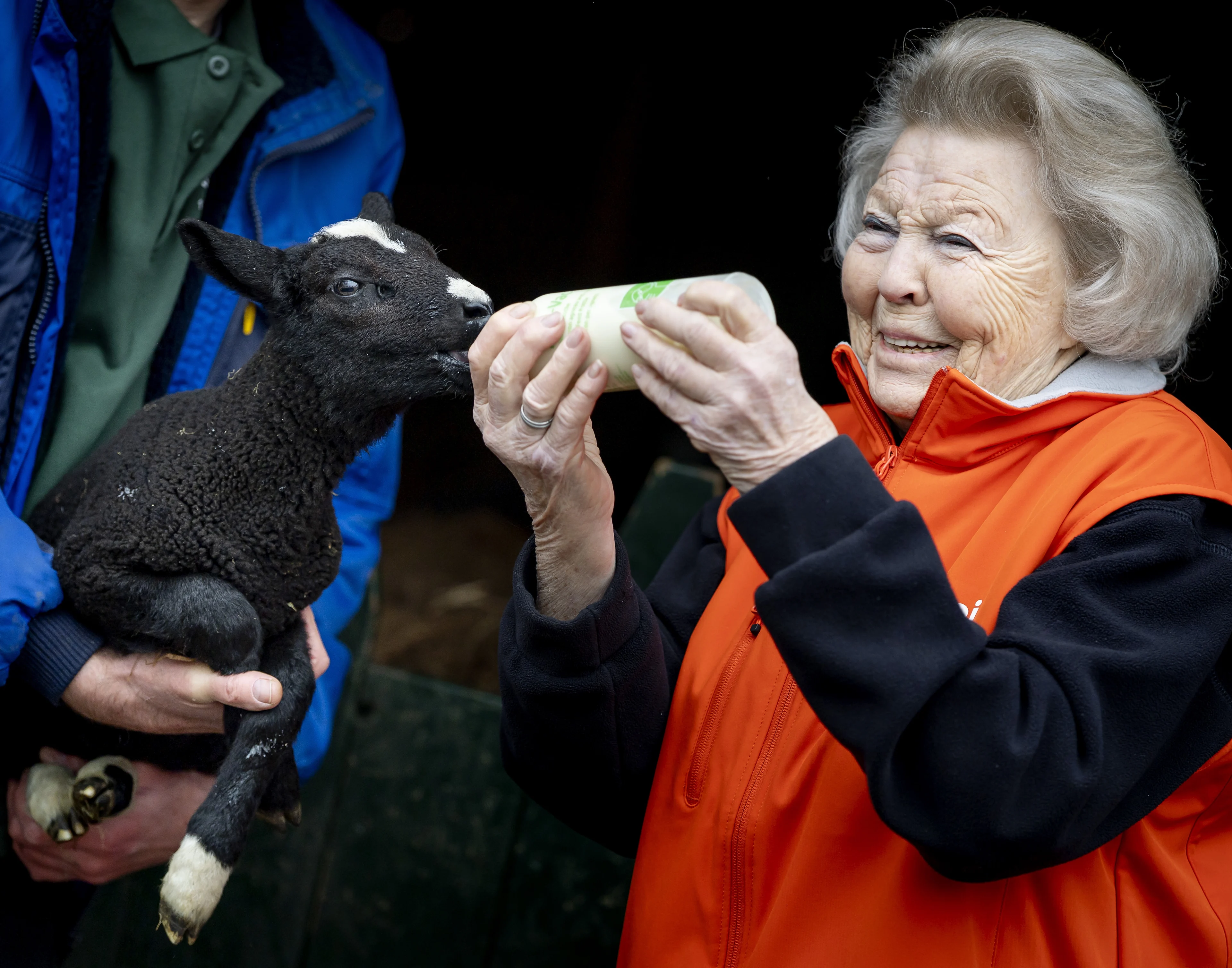 Zien: prinses Beatrix voert boerderijdieren
