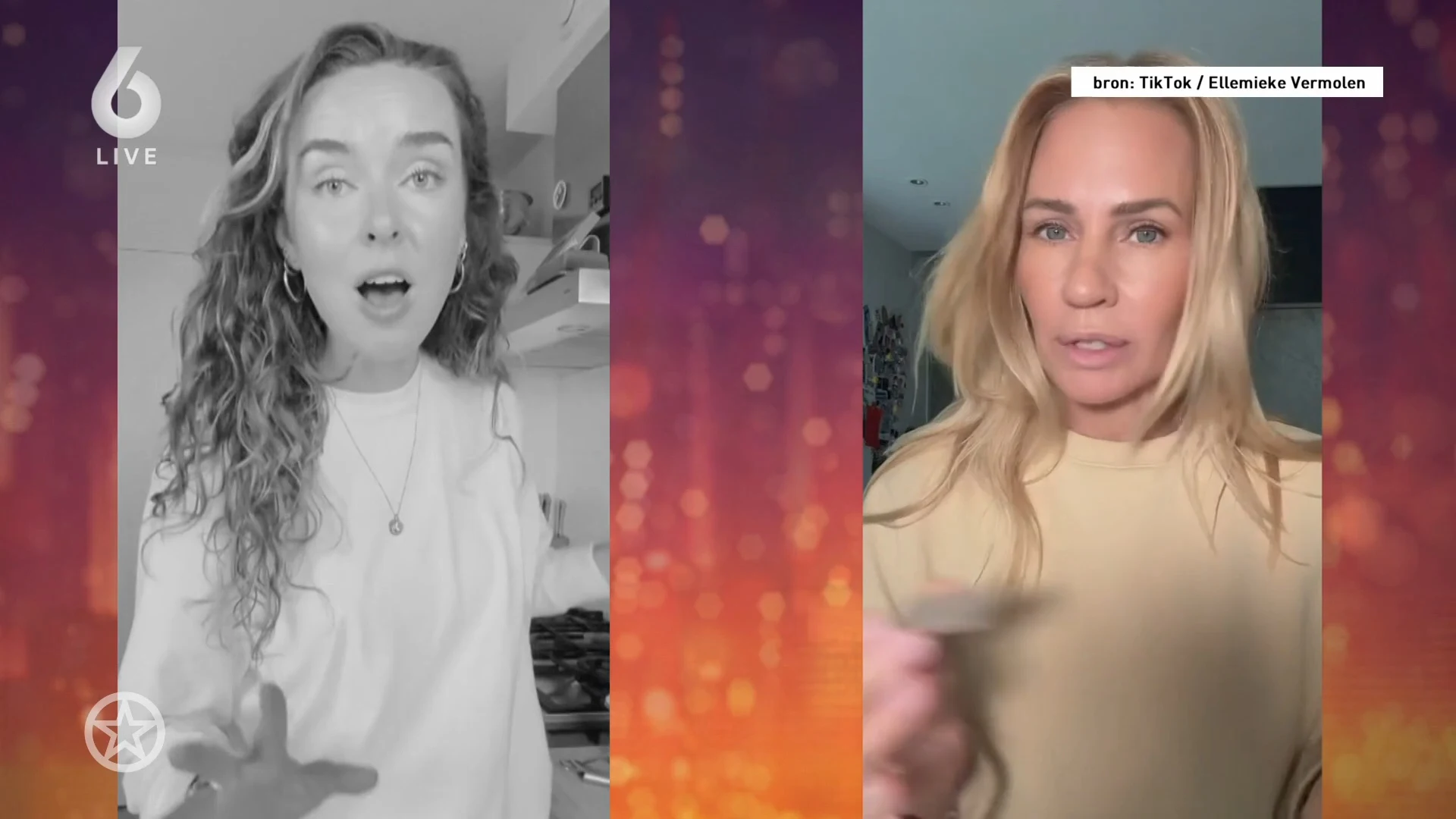 Ellemieke Vermolen beschuldigd van plagiaat