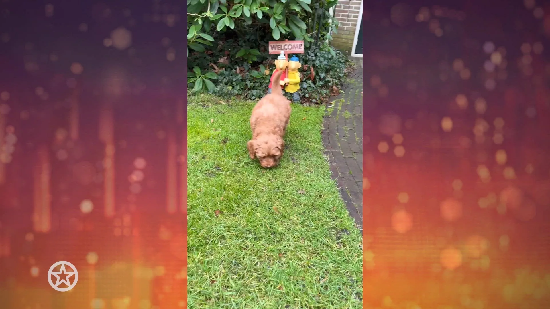 Gezinsuitbreiding voor Maxime Meiland