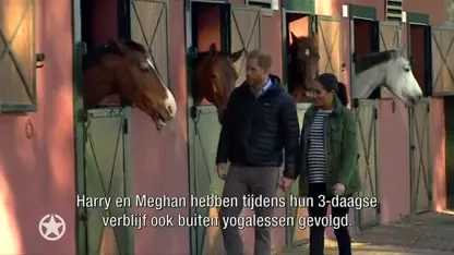 Harry en Meghan dankbaar voor ‘babyshower’