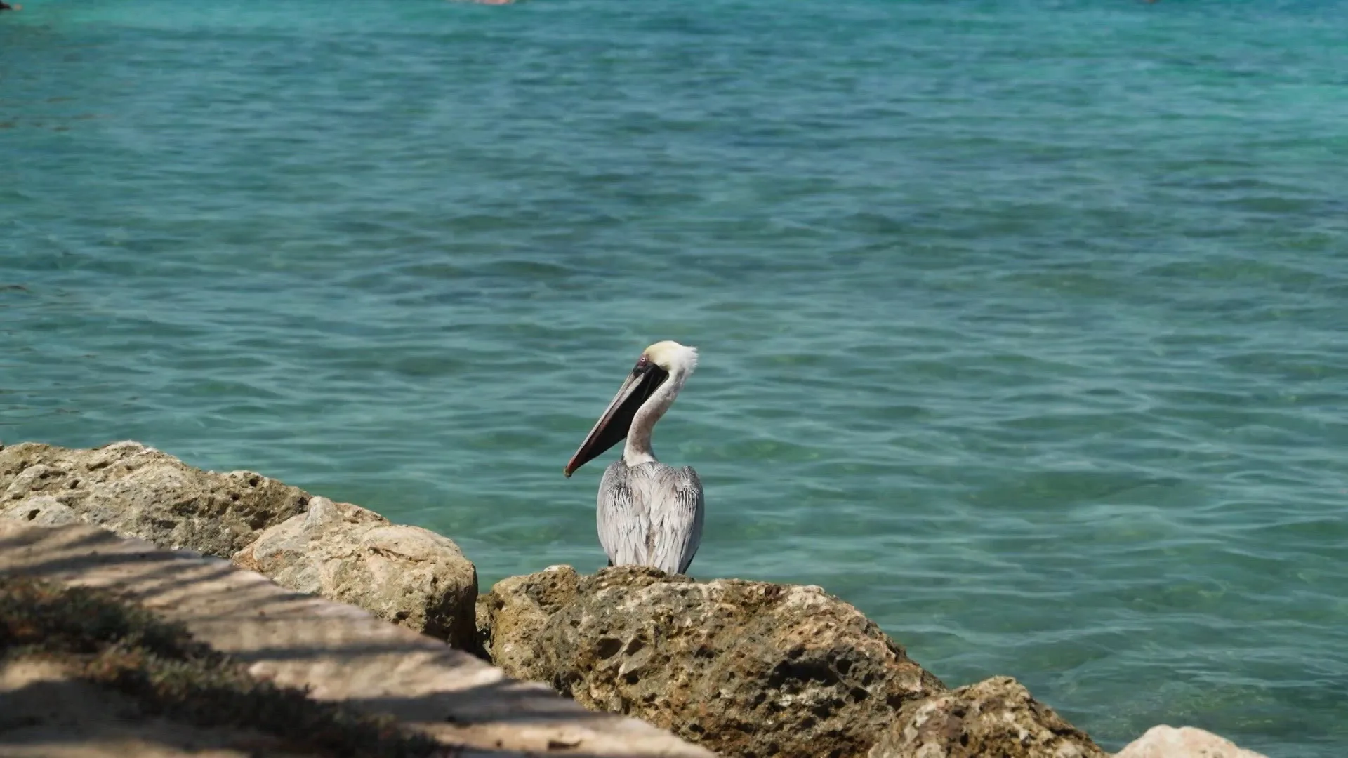 Teaser Grote Gezinnen, Grote Vakanties