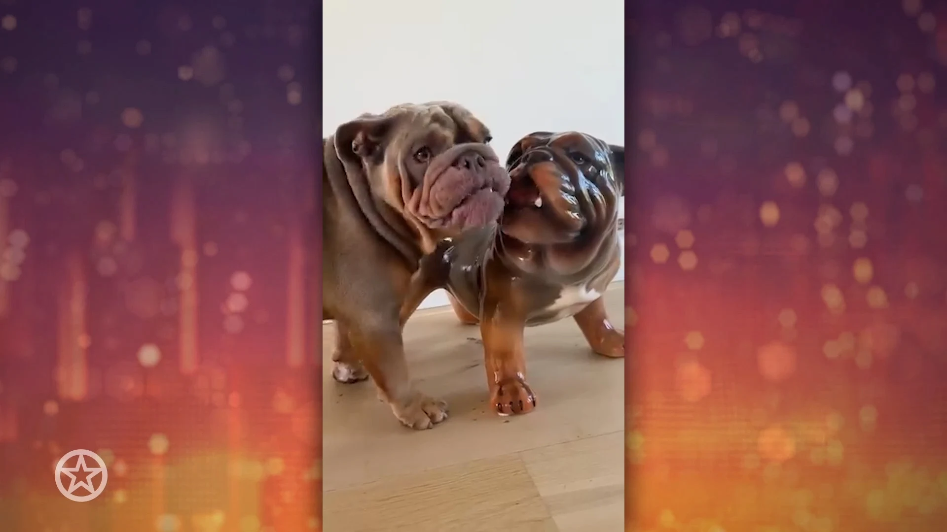 Een nieuw vriendje voor Eddie