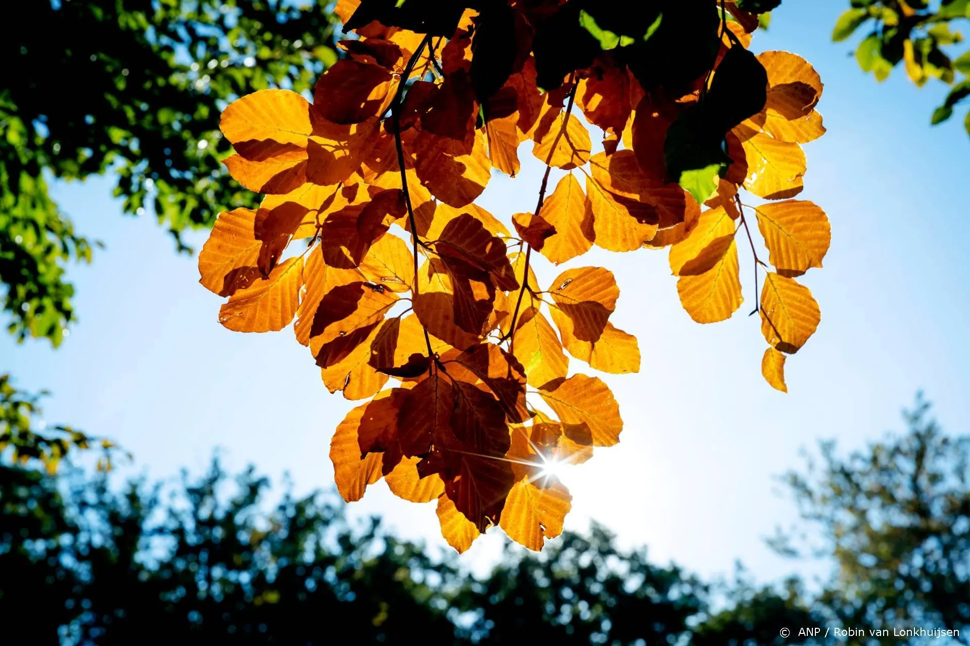 Reggaelegende Toots Hibbert (77) overleden