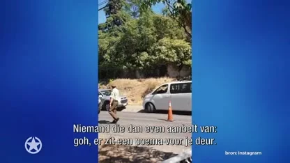 De Posjes opgeschrikt door wilde poema!