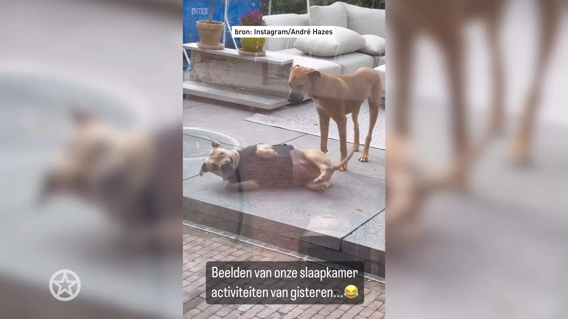 André Hazes deelt unieke beelden: 'Onze slaapkameractiviteiten'