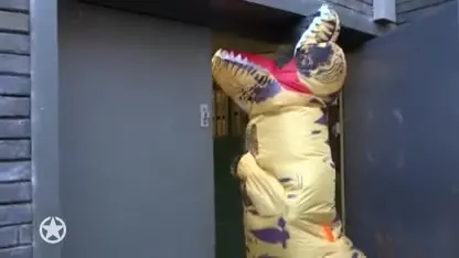 Antwerpse Zoo boos op StukTV door gevaarlijke actie