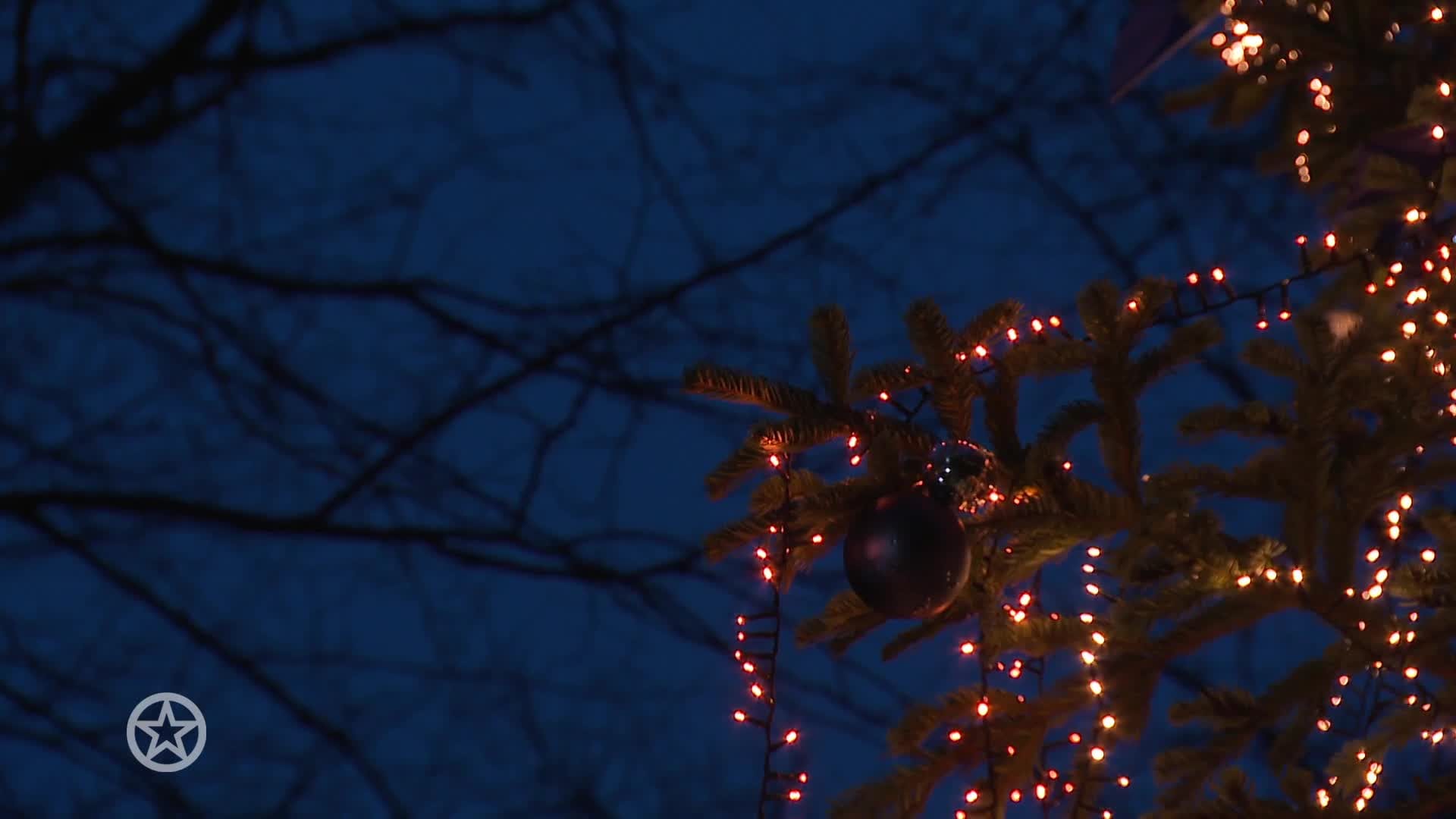 Tooske Ragas steekt de kerstboom van ons allemaal aan