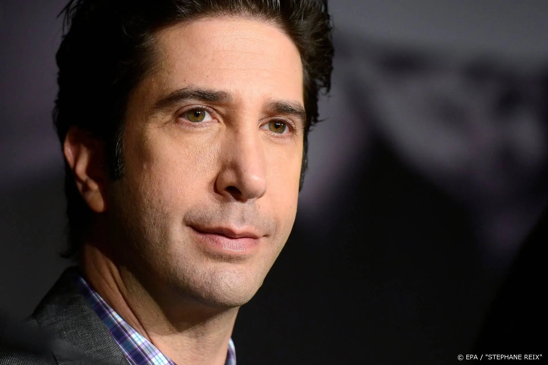 David Schwimmer zag rol van Ross Geller niet zitten