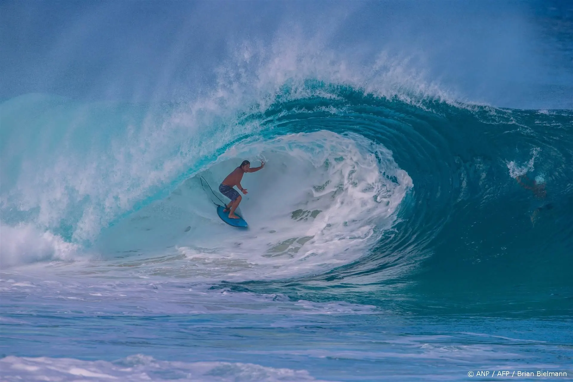 Pirates of the Caribbean-acteur overleden door haaienbeten 