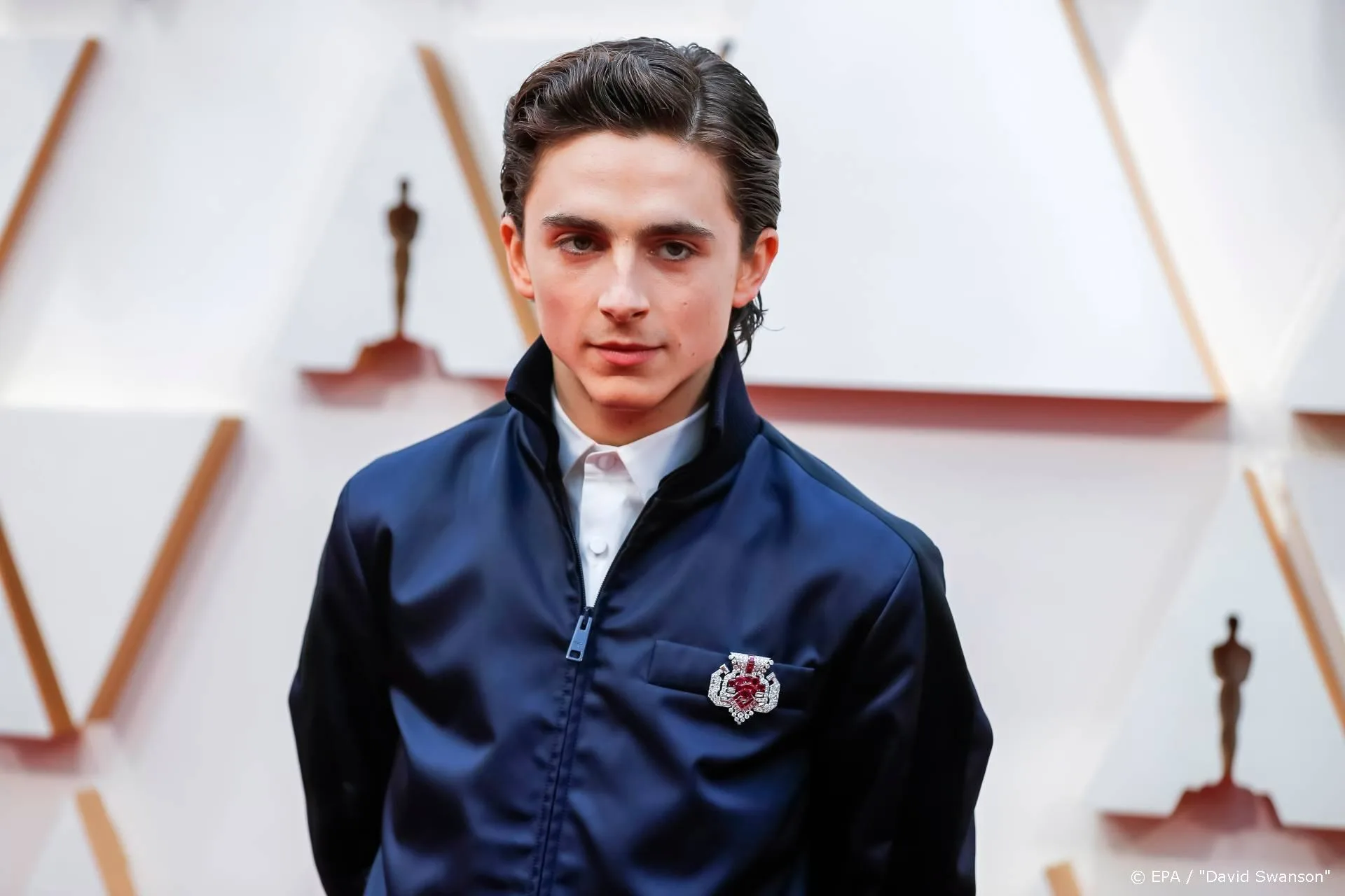 Chalamet en Hammer stemmen in met vervolg Call Me By Your Name