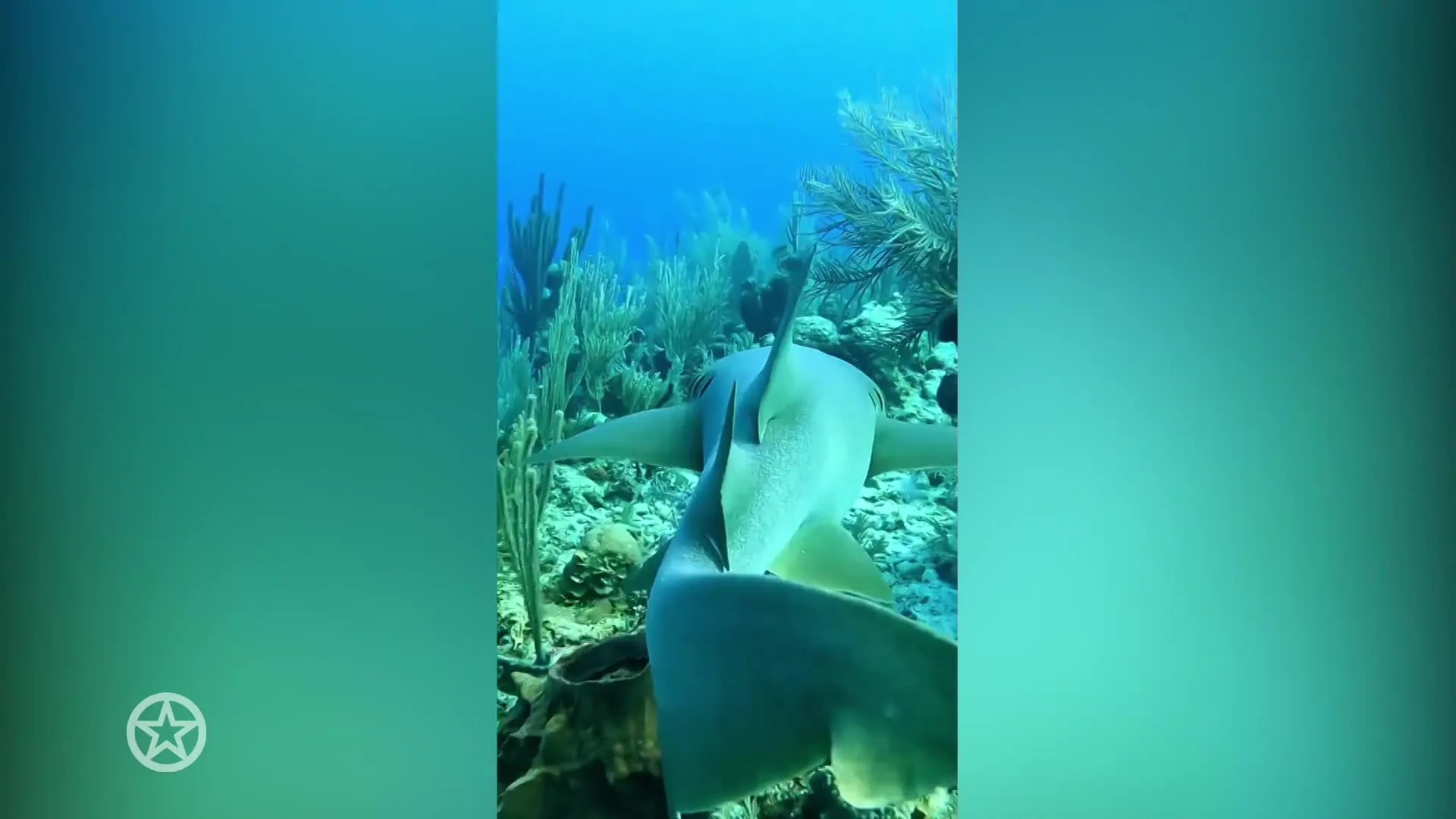 William en Catherine bezoeken Caribisch gebied