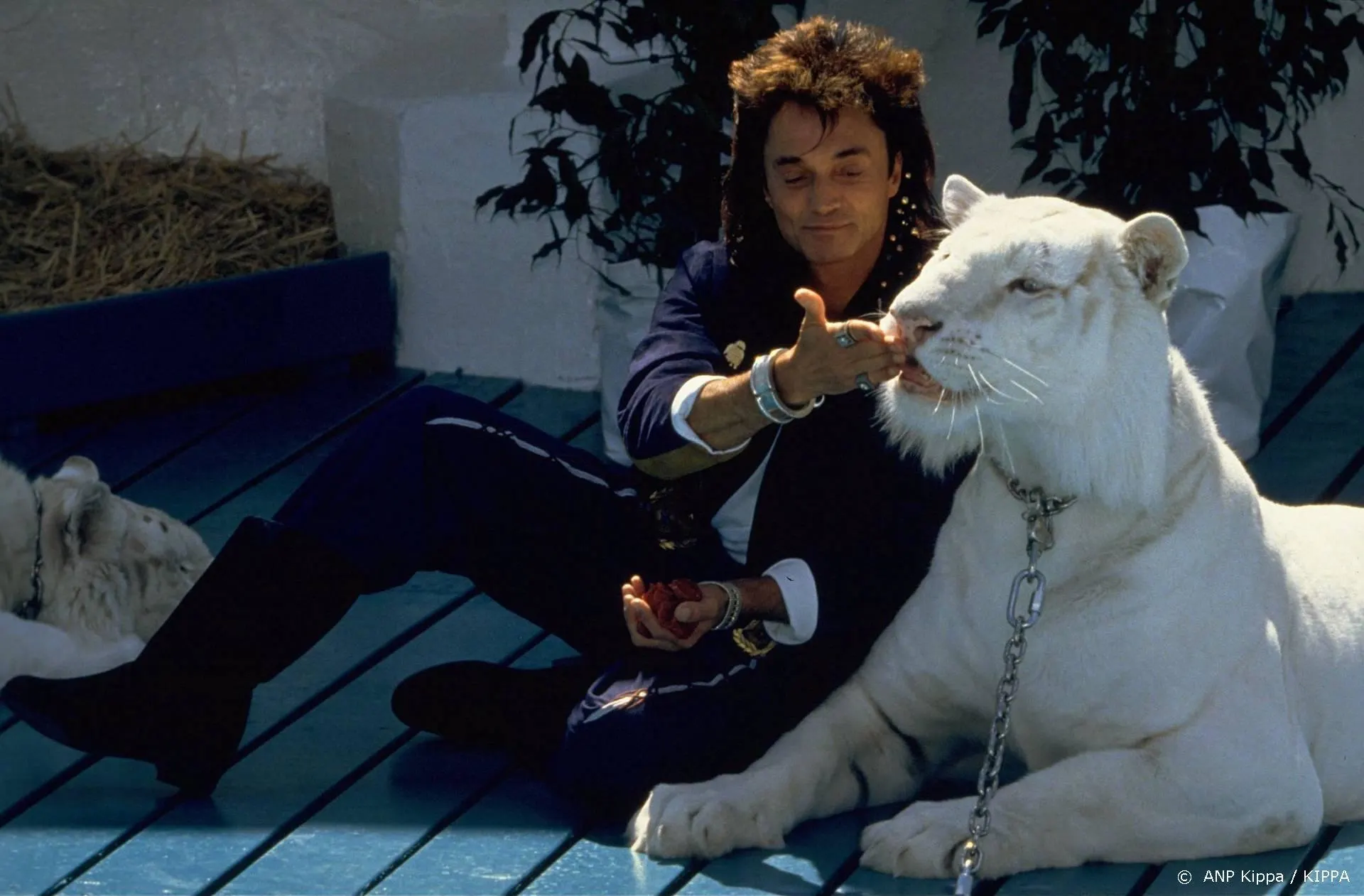 Roy van Siegfried heeft corona