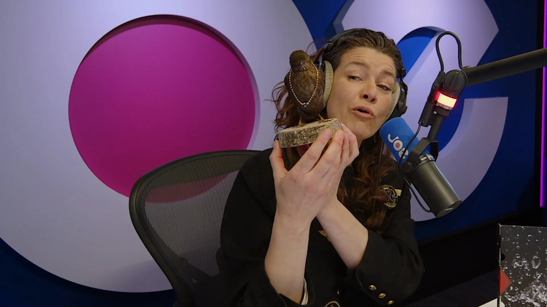 Merel Westrik geeft bij afscheid opgezette merel aan Coen en Sander