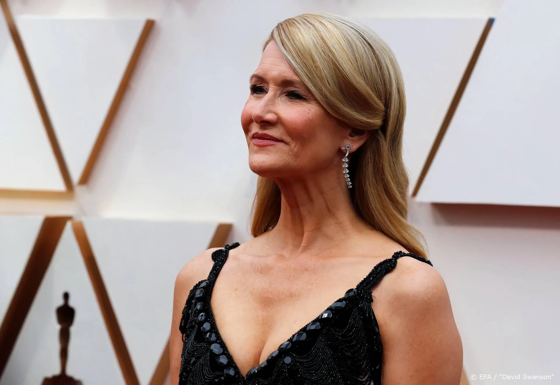 Laura Dern neemt afscheid van goudvis