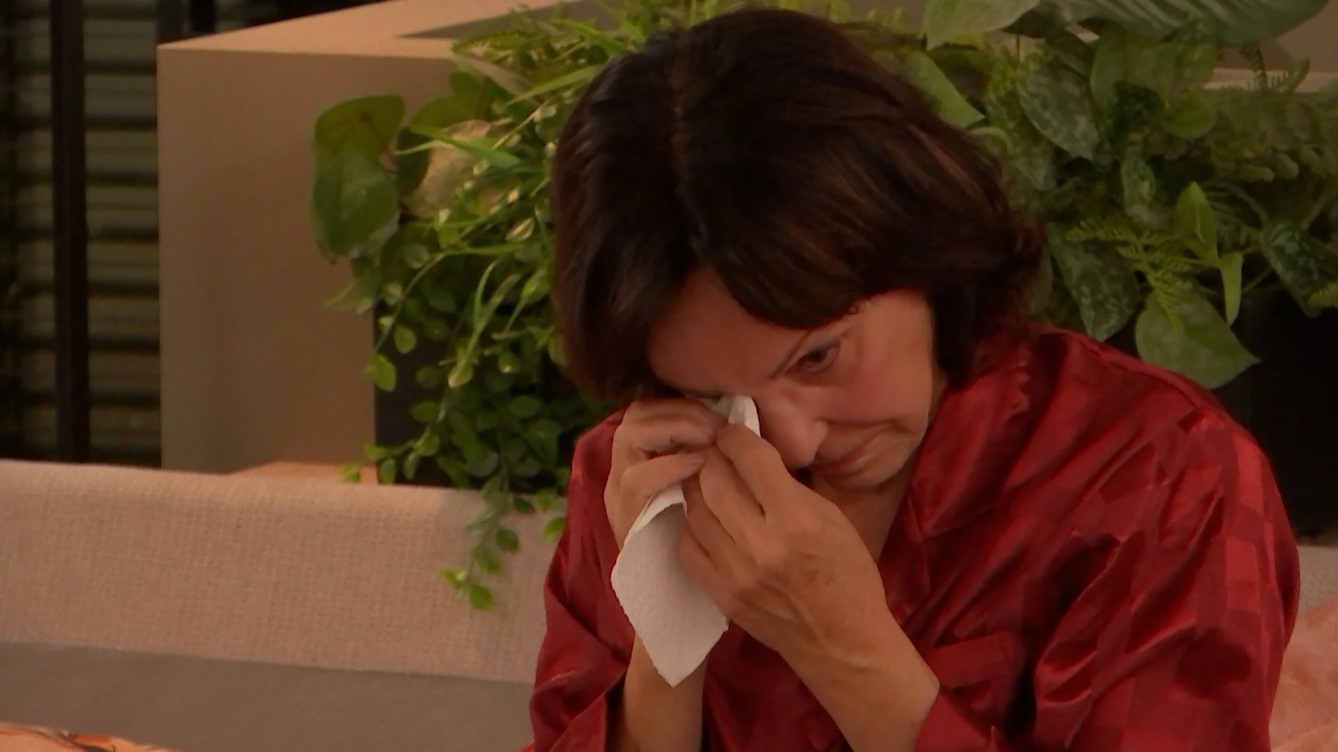 Lang Leve de Liefde S7 E81  (Lang Leve de Liefde)