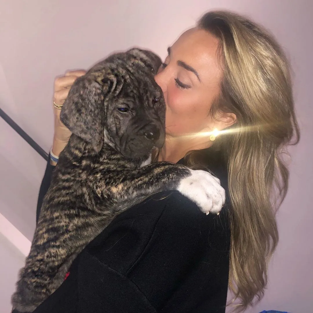 Monique Westenberg vraagt volgers om hulp