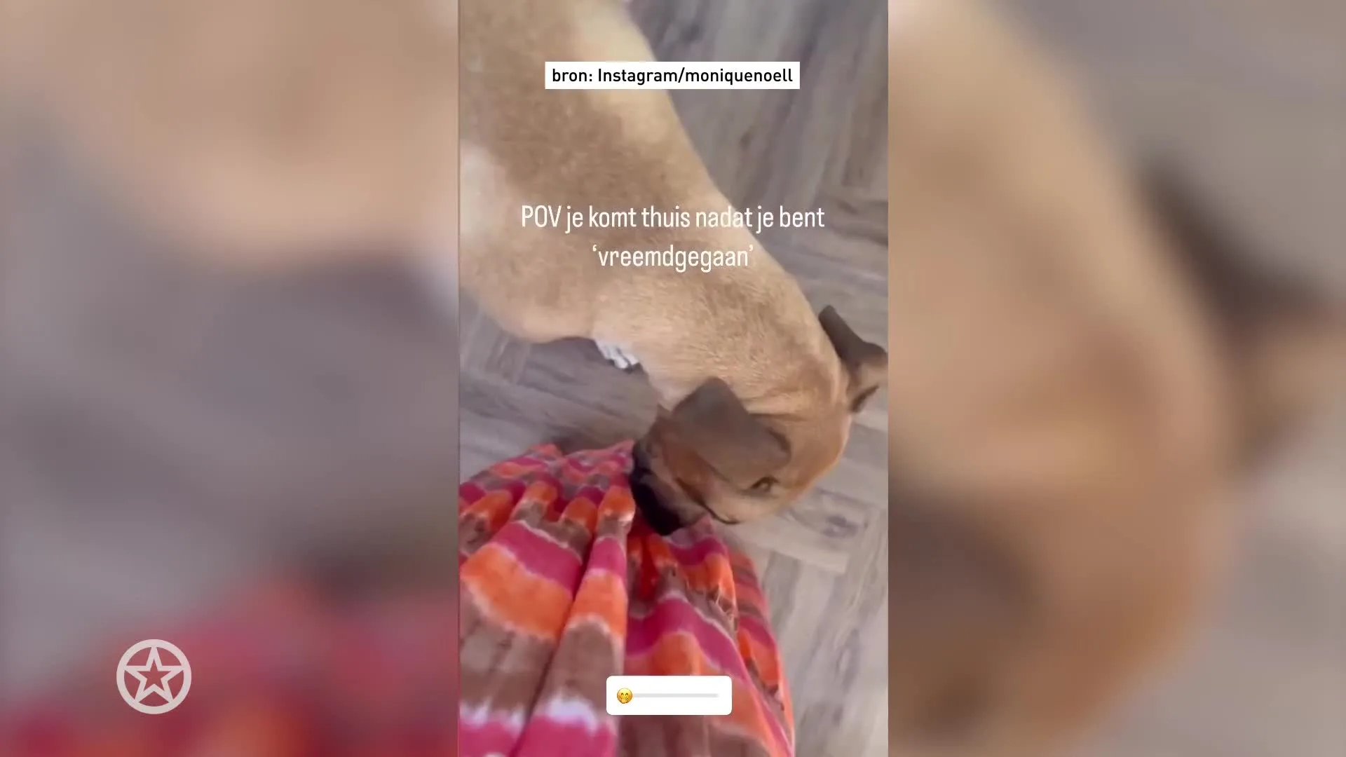 Monique komt thuis na 'vreemdgaan'