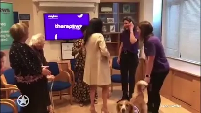 Zwangere Meghan Markle uitgemaakt voor 'dik'