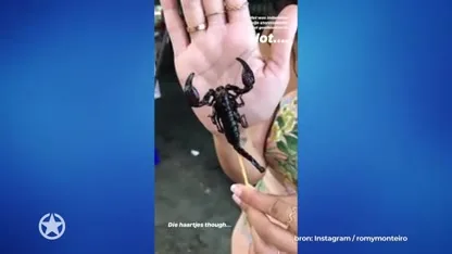 Romy Monteiro kotsmisselijk in Thailand!