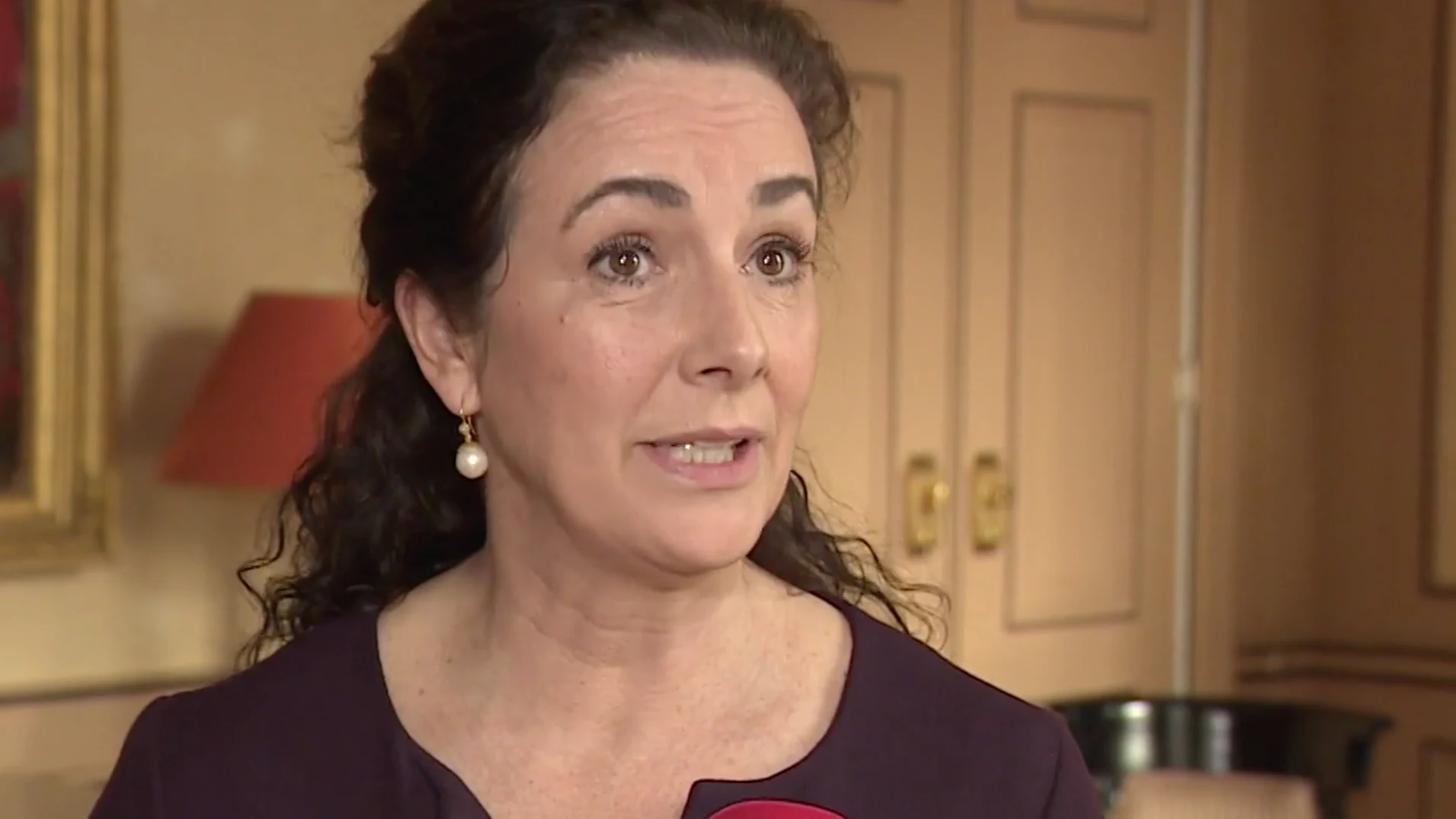 Femke Halsema: 'Wij zijn overal op voorbereid' 