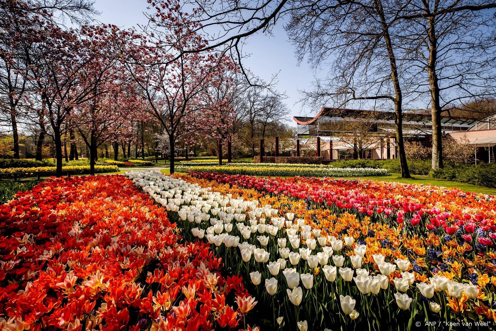 Toch naar Keukenhof dankzij Omroep MAX