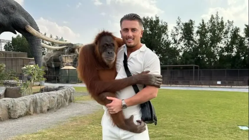 Dekhengst Harrie geschrokken van kritiek dierenleed: 'Echte dierenvriend'